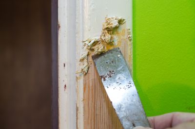 Cabinet Door Paint Stripping